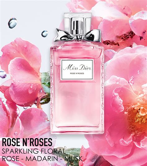 harga parfum miss dior rose n roses|More.